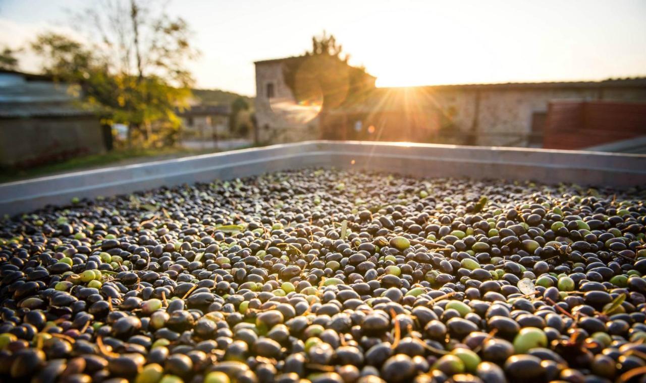 Agriturismo Grossola Castiglione dʼOrcia المظهر الخارجي الصورة