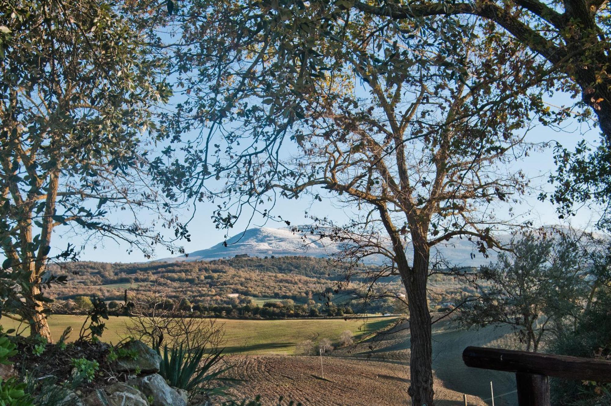 Agriturismo Grossola Castiglione dʼOrcia المظهر الخارجي الصورة
