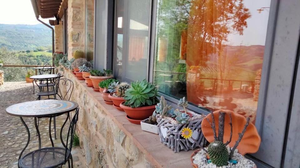 Agriturismo Grossola Castiglione dʼOrcia المظهر الخارجي الصورة