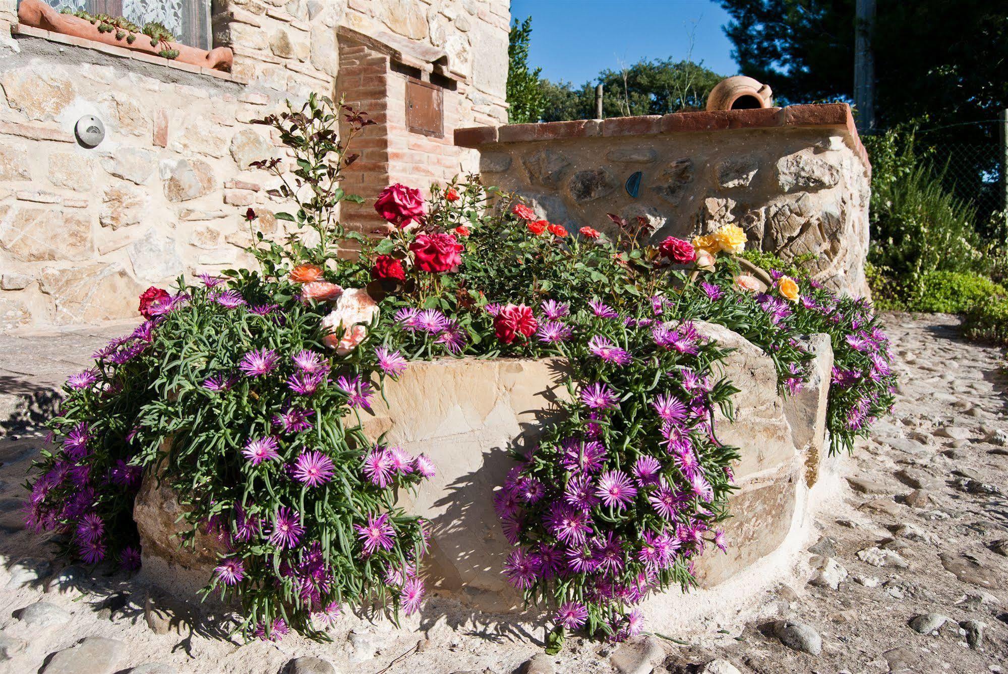 Agriturismo Grossola Castiglione dʼOrcia المظهر الخارجي الصورة